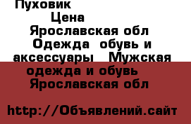 Пуховик, “Porsche typ 64“ › Цена ­ 3 000 - Ярославская обл. Одежда, обувь и аксессуары » Мужская одежда и обувь   . Ярославская обл.